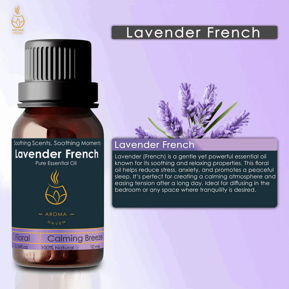 Lavender French Essential Oil - Aroma Haven
