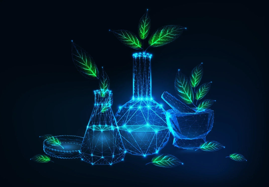 The Future of Essential Oils: New Trends & Innovations