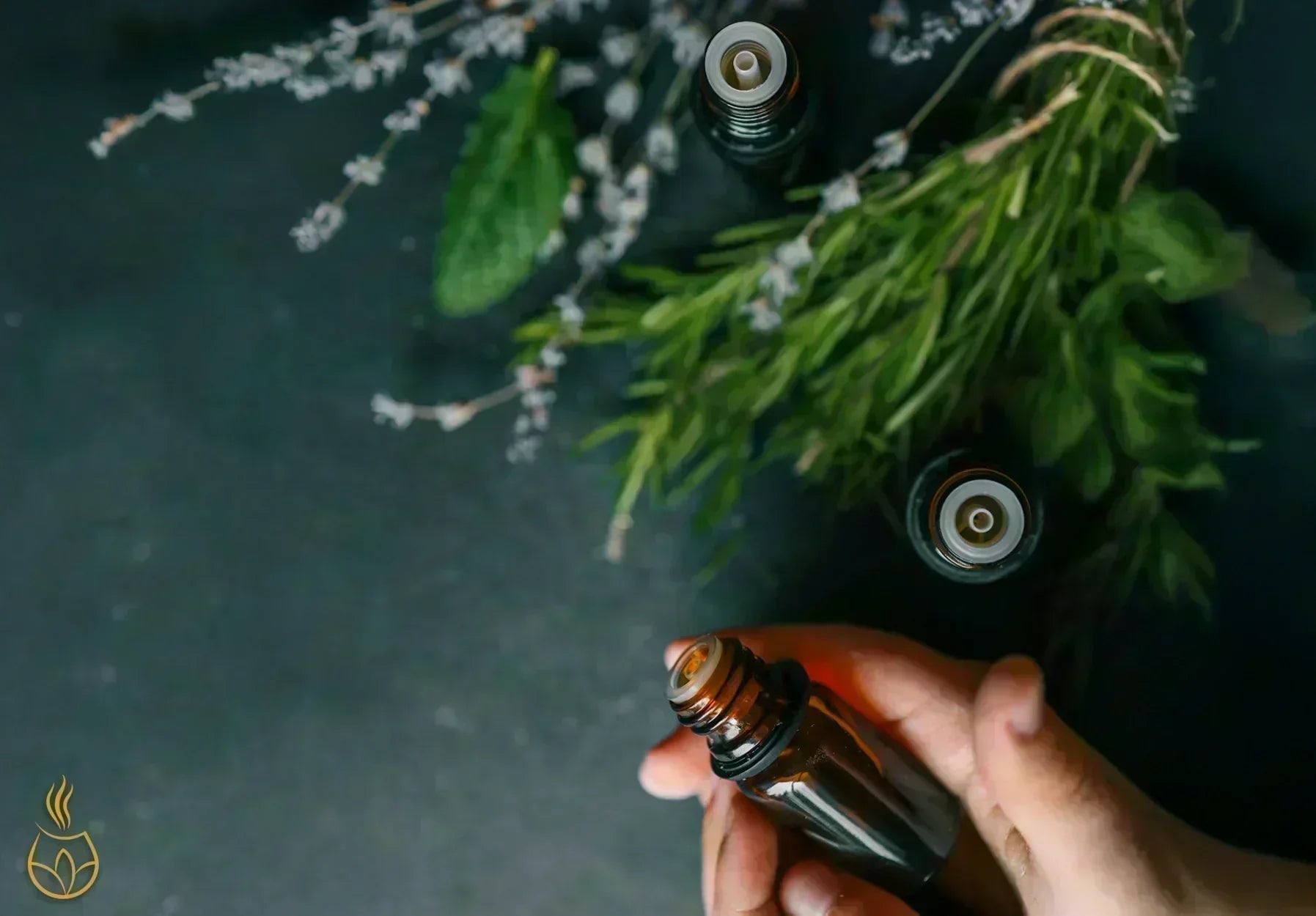 Essential Oils: Diffuser Home Guide – Aroma Haven