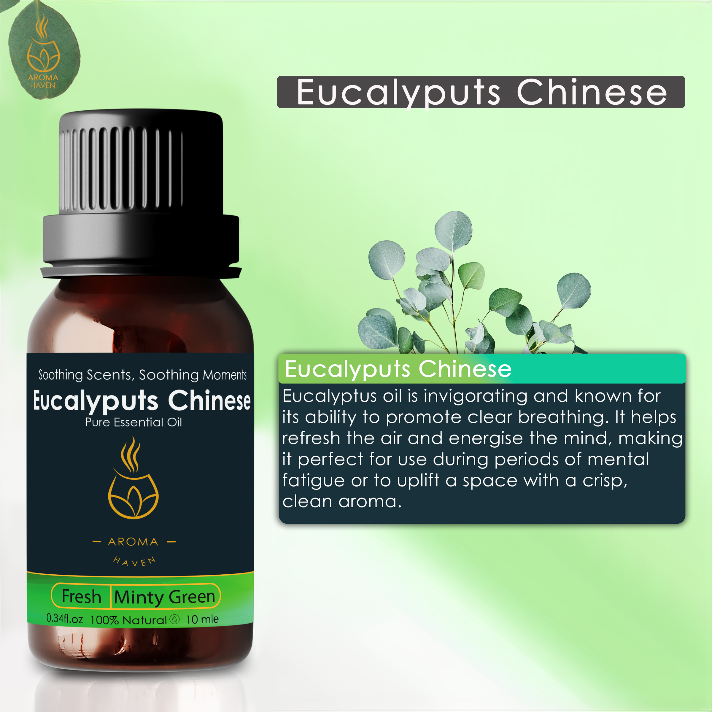 Eucalyptus Chinese Essential Oil, 10 ml, minty green scent for mental clarity in aroma and electric diffusers by Aroma Haven.