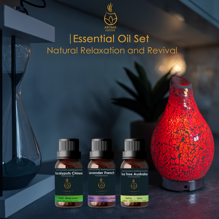 Aroma Haven Essential Oil Set for electric diffusers, includes Eucalyptus, Lavender, and Tea Tree oils with a reed diffuser.