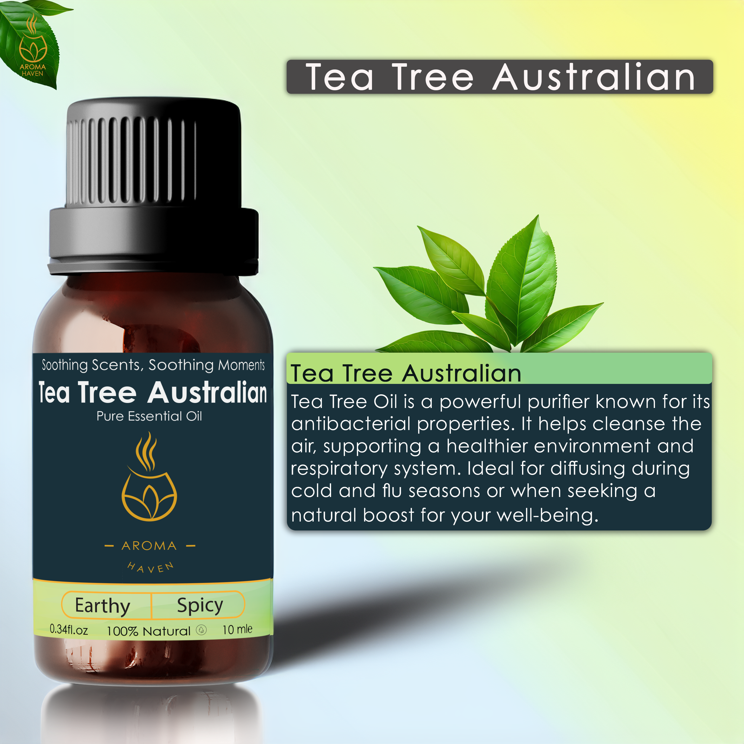 Tea Tree Australian Essential Oil, 10 ml, earthy spicy scent for air purifying in aroma and electric diffusers by Aroma Haven.