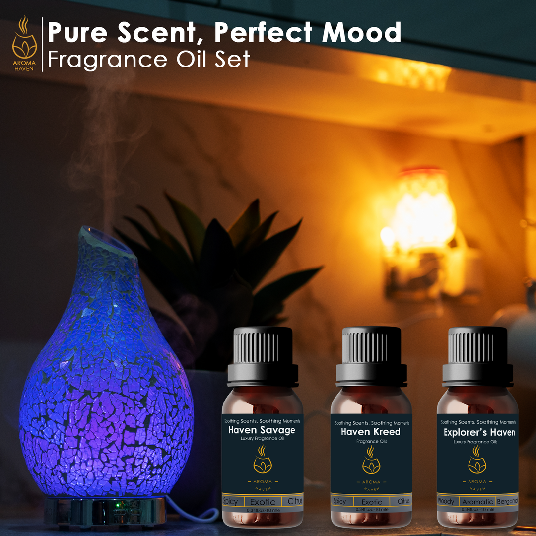 Aroma Haven Men's Fragrance Oil Set for electric diffusers, includes Haven Savage, Haven Kreed, and Explorer's Haven oils.